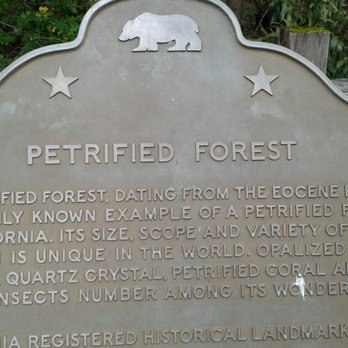 The Petrified Forest - Parks Near Me - Calistoga, California The Petrified Forest - Parks Near Me - Calistoga, California