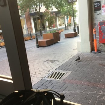 Coffee Branch - Coffee & Tea Near Me - Adelaide, SA