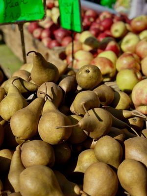 Grand Army Plaza Greenmarket by null