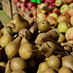 Grand Army Plaza Greenmarket - Pears