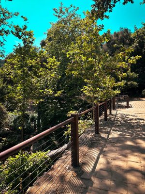 Santa Barbara Botanic Garden by null