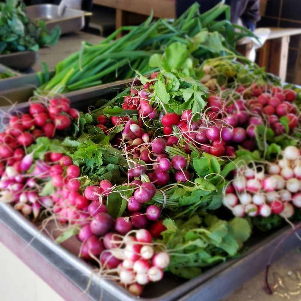 Chino Farm - The beautiful produce - Fruits & Veggies Near Me - Rancho Santa Fe, California