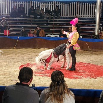 Zoppé circus - Dog and pony show - Performing Arts Near Me Zoppé circus - Dog and pony show - Performing Arts Near Me