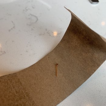 First Watch - Bug (I think cockroach) leg that I found in my soup. - Breakfast & Brunch Near Me - Oak Brook, Illinois First Watch - Bug (I think cockroach) leg that I found in my soup. - Breakfast & Brunch Near Me - Oak Brook, Illinois