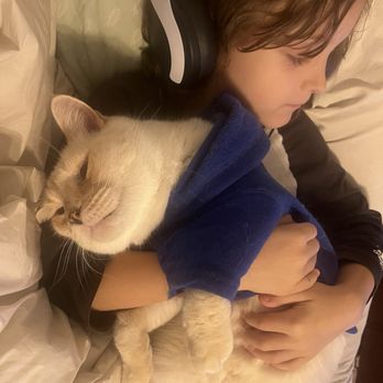 VEG ER for Pets - Our very loving Lemon! We will miss him terribly. - Emergency Pet Hospital Near Me - Austin, Texas