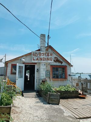 Lobster Landing by null