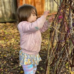 Novato Parents Nursery School - The Little Explorers Preschool