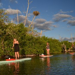SUP Englewood - Paddle Board rentals and tours at SUP Englewood an exclusive partner with Florida State Parks. Located within Don Pedro Island State Park.