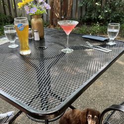 The Kitchen At the Imperial - Little Dog Approves.