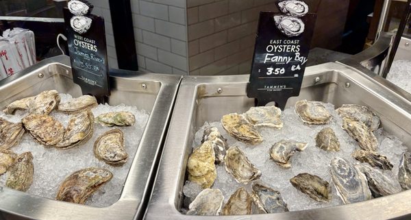 Tammen’s Fish Market by null