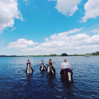 CPonies - Horseback Riding Near Me - Bradenton, Florida CPonies - Horseback Riding Near Me - Bradenton, Florida
