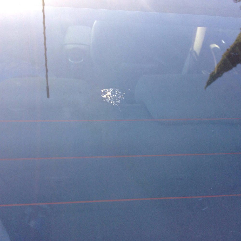 Bird splat on rear window after Express carwash.