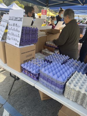 Burbank Farmers Market by null