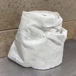 HonorHealth Scottsdale Osborn Medical Center - Used toilet paper with gobs biological material adhered to the surface