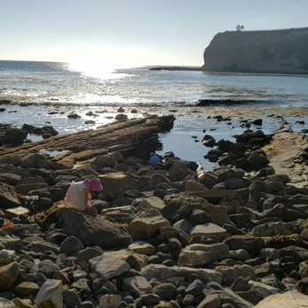 Abalone Cove - Beaches Near Me - Rancho Palos Verdes, California Abalone Cove - Beaches Near Me - Rancho Palos Verdes, California