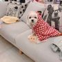 Photo of Cola Pet Pet Store