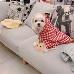 Cola Pet Pet Store