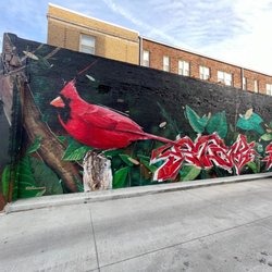 The Cardinal