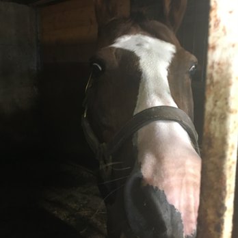 Hillside Farm - Horseback Riding Near Me - Richfield, Wisconsin Hillside Farm - Horseback Riding Near Me - Richfield, Wisconsin