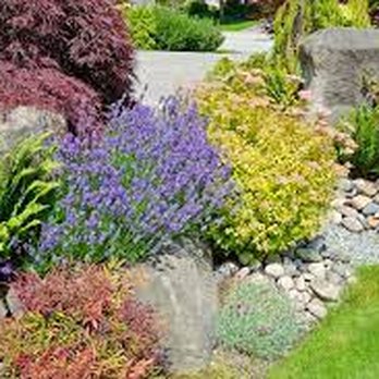 Dusty's Professional Yard Services - a rock garden - Lawn Services Near Me