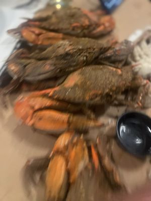 Conrad's Seafood Restaurant by null