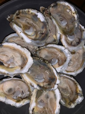 White Stone Oyster Company by null