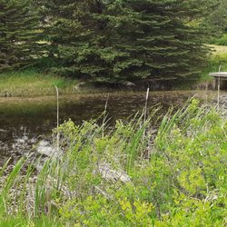 Sun Meadow Resort