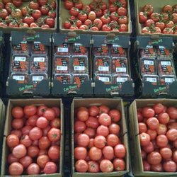 E & J Produce