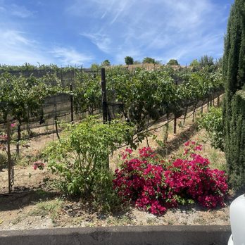 Granite Lion Cellars - Vineyard - Wineries Near Me - Jamul, California Granite Lion Cellars - Vineyard - Wineries Near Me - Jamul, California
