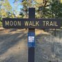 Photo of Moon Walk Trail