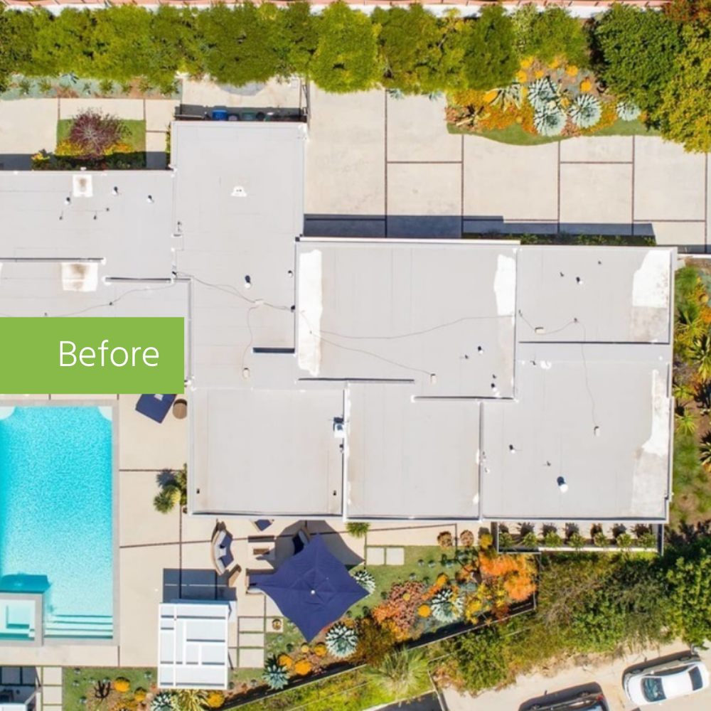 Slide of Treeium Energy