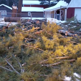 NATO tree service - Damage - Tree Services Near Me