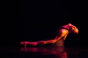 Ruth Page Center for the Arts by null