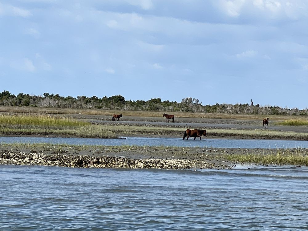 ISLAND EXPRESS FERRY SERVICES LLC Updated August 2024 97 Photos