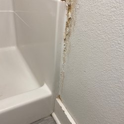 Boardwalk Resort - Shower mold