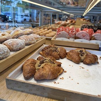 Paris Baguette - Pastry case - Bakeries Near Me - Tampa, Florida Paris Baguette - Pastry case - Bakeries Near Me - Tampa, Florida