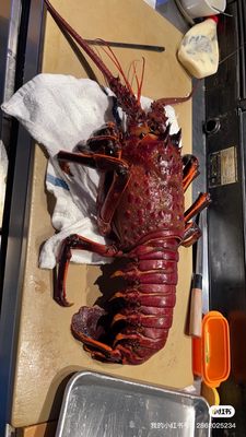 Hiromi sushi by null