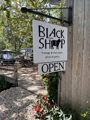 Black Sheep by null