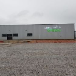 Magnolia Green