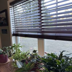 Blinds At the Spa - Love these blinds!