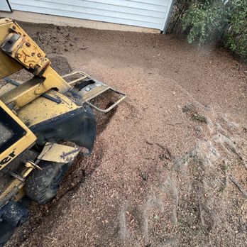 Pitts Tree Service - Tree Services Near Me - Dothan, Alabama Pitts Tree Service - Tree Services Near Me - Dothan, Alabama