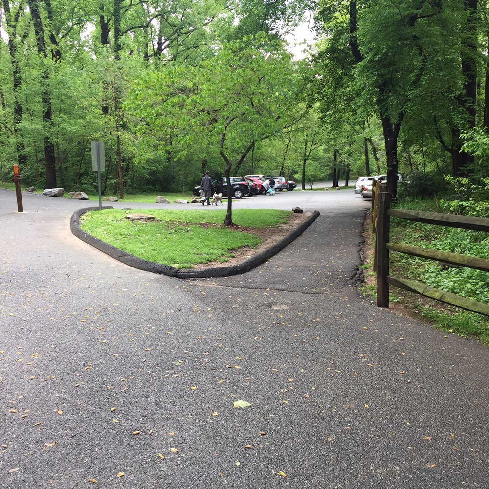 Cabin John Dog Park - Dog Parks Near Me - Bethesda, Maryland