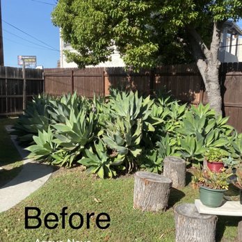 So Cal Pruners - Tree Services Near Me So Cal Pruners - Tree Services Near Me