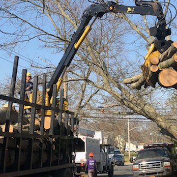 Alhei Tree Service Corp - Tree Services Near Me - Central Islip, New York Alhei Tree Service Corp - Tree Services Near Me - Central Islip, New York