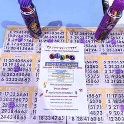 Country Cutups Squaredance Club - Bingo night in January!