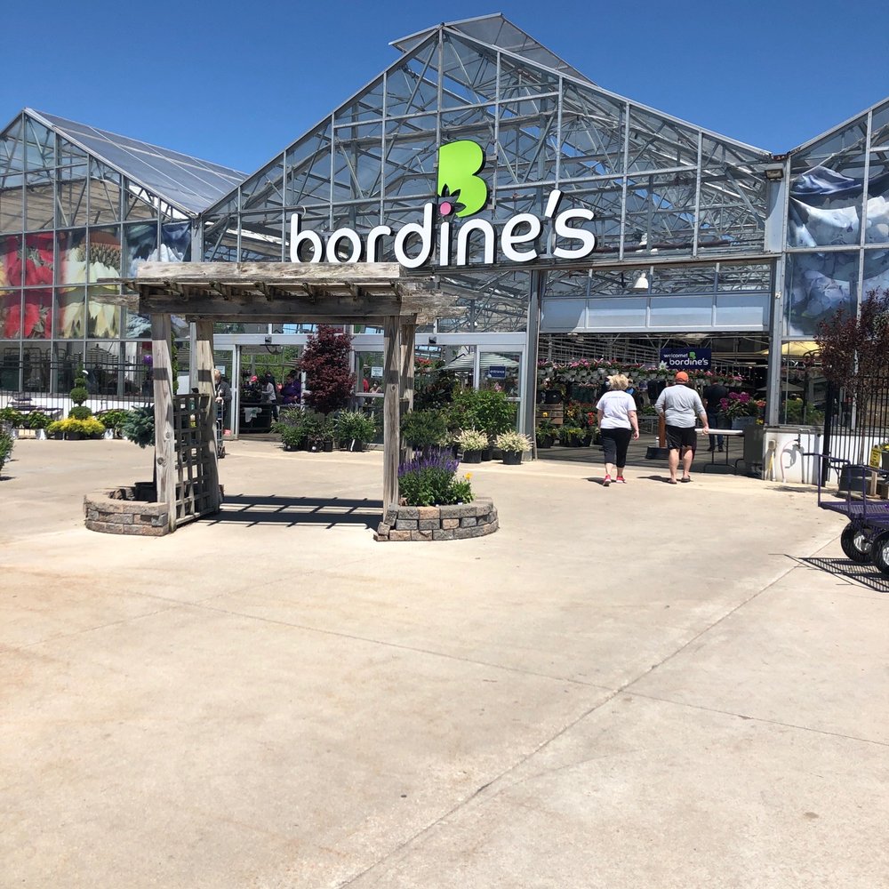 Flower Nursery Brighton Mi Best Flower Site