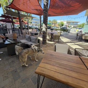 Yelp Elite Experience: Floe Cafe - Nice patio - Yelp Events Near Me - Fullerton, California Yelp Elite Experience: Floe Cafe - Nice patio - Yelp Events Near Me - Fullerton, California
