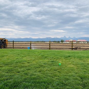 Spring Creek Fence & Deck Contractor - Fences & Gates Near Me - Tetonia, Idaho Spring Creek Fence & Deck Contractor - Fences & Gates Near Me - Tetonia, Idaho