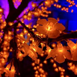 Winterlights at Newfields - Winterlights 2024