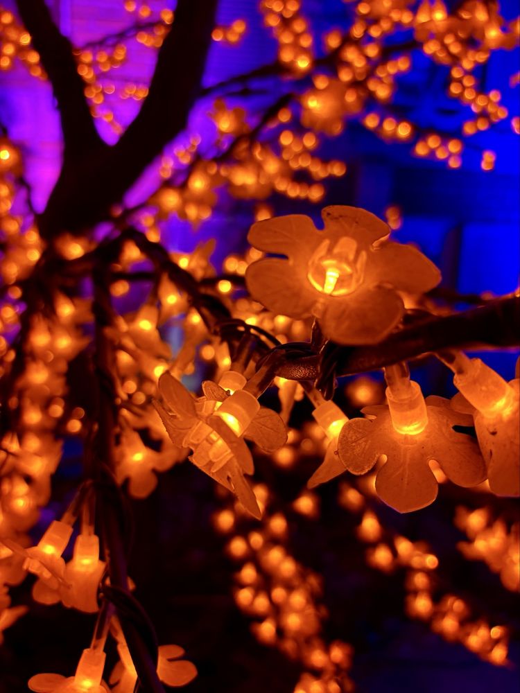 Social spots from Winterlights at Newfields